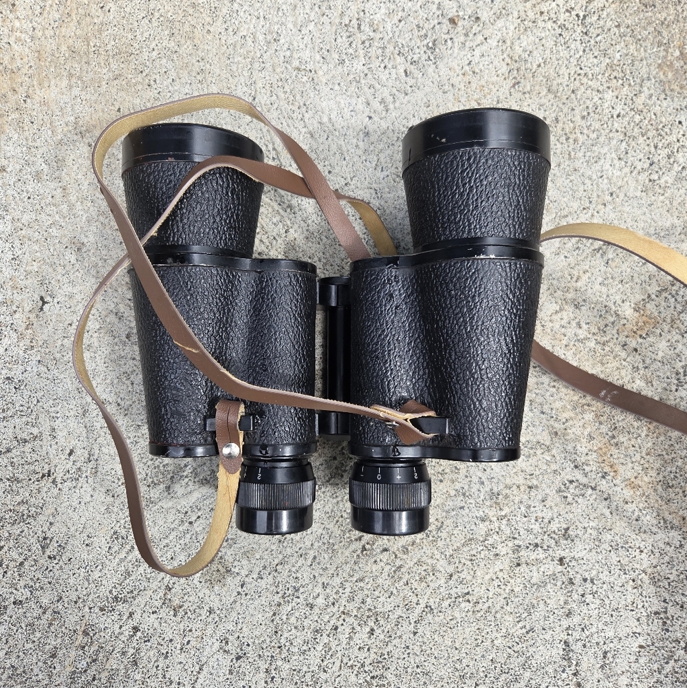 Daylite 10x50 Binoculars 262ft/1000yds Case & Strap Vintage Porro‎ Prism Japan - Picture 6 of 9